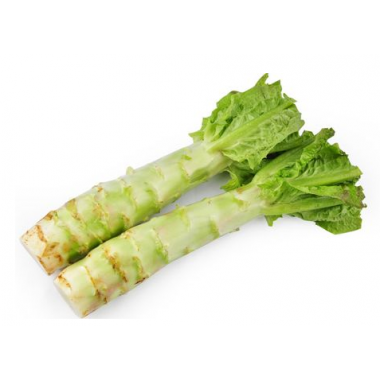 去皮萵苣約1000g