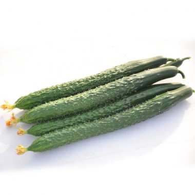 黃瓜1000g