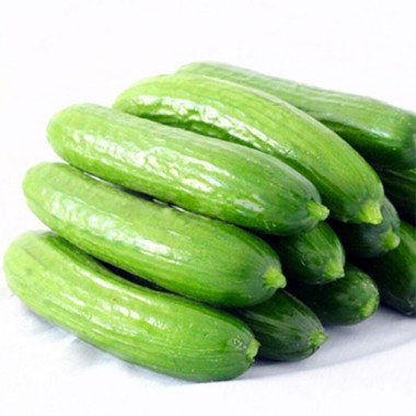 水果小黃瓜1000g