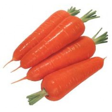 胡蘿卜約1000g